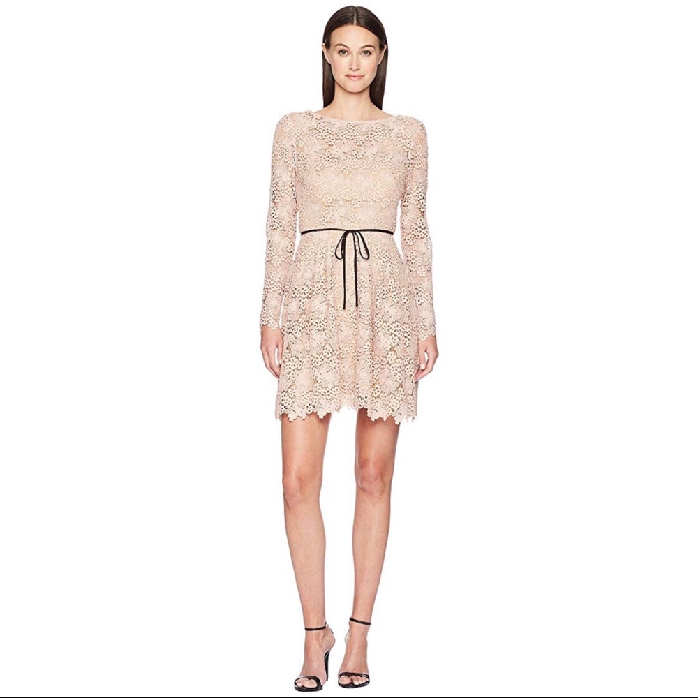 ML MONIQUE LHUILLIER
Lace Scoop Back Dress - Picture 1 of 5